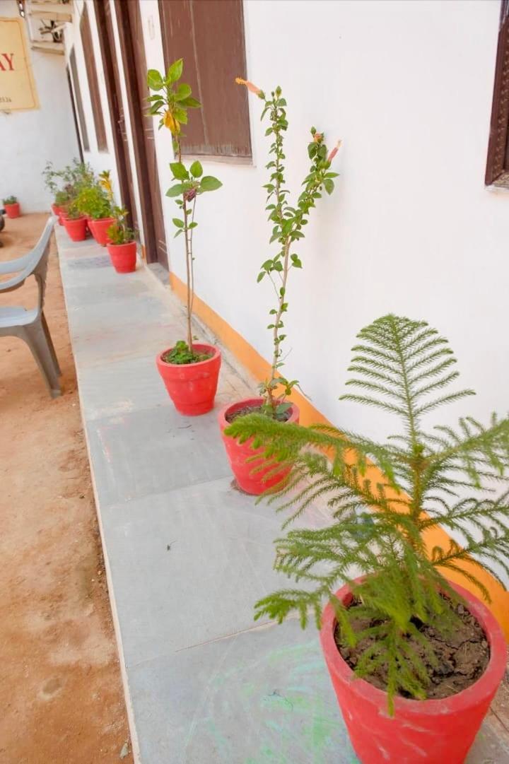 Backpackers Karma Home Stay 克久拉霍 外观 照片